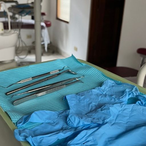 carrusel 01 512x512px