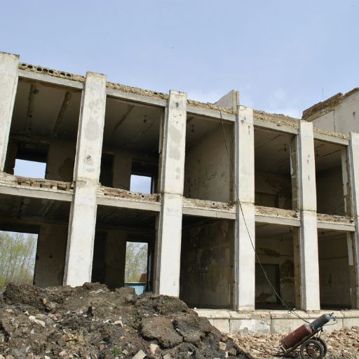 carrusel 08 512x512px (1)