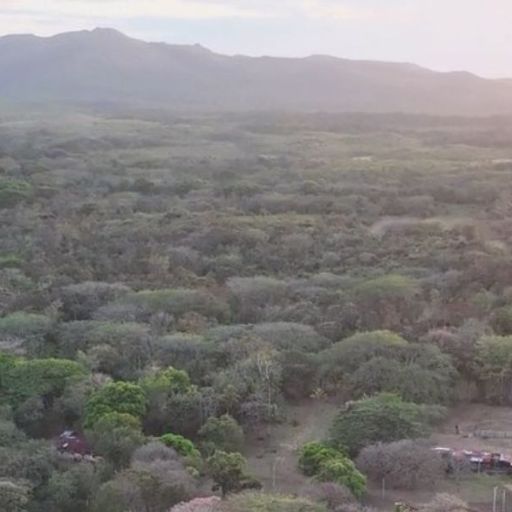 orocanna carrusel 01 512 x 512px