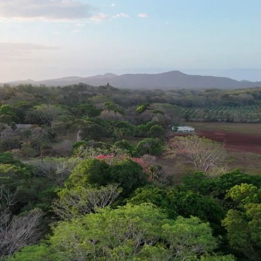 orocanna carrusel 06 512 x 512px