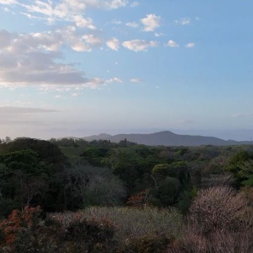 orocanna carrusel 07 512 x 512px