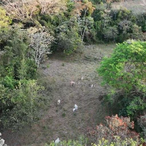 orocanna carrusel 08 512 x 512px