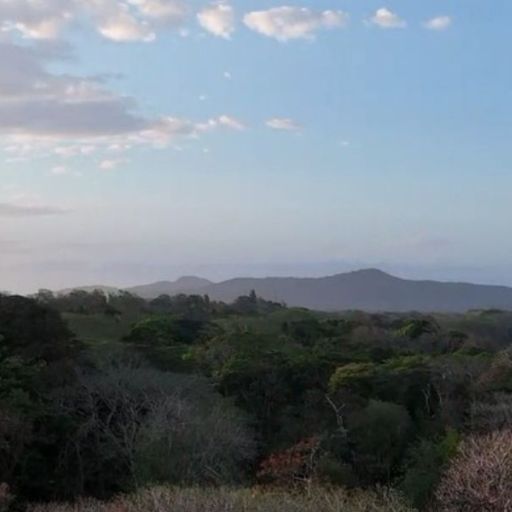 orocanna carrusel 10 512 x 512px