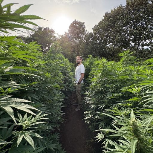 El manejo adecuado del suelo: clave para la productividad y sostenibilidad agrícola